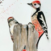 Pic mar à l'aquarelle - étude. Een project van Traditionele illustratie, Aquarelschilderen, Realistische tekening y Naturalistische illustratie van p_m_guinchard - 13.10.2025