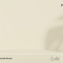 Curso de Canva. Un proyecto de Br, ing e Identidad, Diseño gráfico, Diseño para Redes Sociales y Diseño Web de Leonardo Rueda Rosas - 15.10.2025