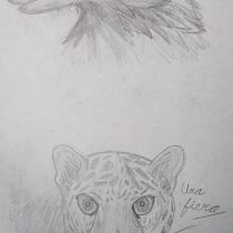 Proyecto final. Un projet de Dessin, Dessin au cra, on, Design  et Illustration traditionnelle de dafoolishfoolisher - 17.10.2025