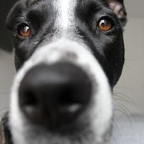 Marly. Photograph, Portrait Photograph, Lifest, le Photograph, Instagram Photograph, Documentar, and Photograph project by marcia_10g - 10.19.2025