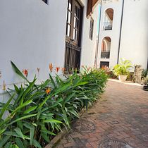 Chef Sofía. Br, ing, Identit, Graphic Design, Social Media Design, and Web Design project by sofyvillalobos - 11.01.2025