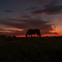Descubriendo mi entorno . Un proyecto de Fotografía con móviles, Instagram, Fotografía para Instagram, Fotografía Lifest y le de Sofia Silveira - 03.11.2025
