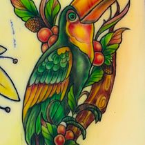 Hornbill . % kokominhtike tarafından hazırlanan Dijital Çizim, Dijital İllüstras, on, Çizim, Geleneksel illüstras, on, Ve Dövme Tasarımı projesi - 11.03.2025