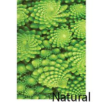 Fractal Natural. Br, ing e Identidade, Design, Design gráfico, Design de logotipo, e Tipografia projeto de Andreas Pompa Lozano - 04.11.2025