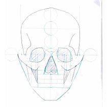 Proyecto de Dibujo Anatómico para Principiantes. Fine Arts, Drawing, Pencil Drawing, Realistic Drawing, Figure Drawing, and Sketching project by Cami Piscis Halite - 11.05.2025