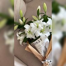 Proyecto final. Br, ing, Identit, Graphic Design, Social Media Design, and Web Design project by valeriamonroy781 - 11.06.2025