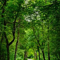 Mi camino. Communication, Marketing, Stor, and telling project by Ronald Barrios - 11.11.2025