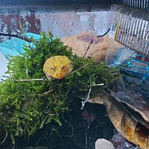 esercizio. Music, Music Production, and Sound Design project by Vincenzo Damiano - 11.14.2025