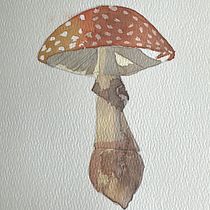Mushroom . Un progetto di Illustrazione tradizionale, Pittura ad acquerello e Illustrazione naturalistica di Joha Pereyra - 15.11.2025
