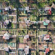 Palette: Orti. Digital Photograph, Instagram Photograph, Lifest, le Photograph, Photographic Composition, Photograph, Photograph, and Post-production project by davide_calderoni - 11.15.2025