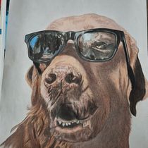 Proyecto Samuel. Ilustração tradicional e Ilustração naturalista projeto de rinnovocostarica - 16.11.2025