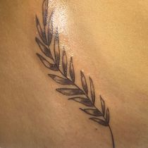 Folha Botânica . Un proyecto de Diseño de tatuajes, Ilustración tradicional e Ilustración botánica de Francisco José Baptista Correia - 17.11.2025