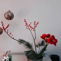 Christmas upcoming . Decoration, Floral, Plant Design, Interior Decoration & Interior Design project by jackie611 - 11.19.2025