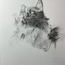 My cat Vala . Fine Arts, Drawing, Ink Illustration, and Naturalistic Illustration project by lbecerrilf - 11.19.2025