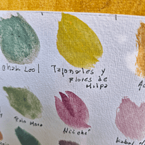 Colores del agua y la naturaleza. Een project van  Beeldende kunst, Schilderij, Aquarelschilderen, Craft, DIY y Kleurentheorie van Alma Valencia Arana - 20.11.2025