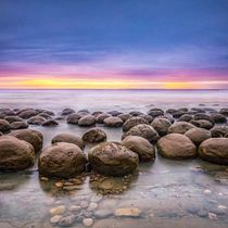 Lily's Flowers. Fine Arts, Drawing, Traditional illustration, Painting, Watercolor Painting, and Botanical Illustration project by jennifer_baron - 11.21.2025