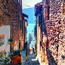 Lento al Lago Ein Projekt aus dem Bereich Fotografie für Instagram, Smartphonefotografie und Außenfotografie von Matteo Esposito - 24.11.2025