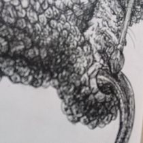 Limpieza no alimento . Menggambar, Gambar Pensil, Menggambar Artistik, Gambar Realistis, Ilustrasi tradisional & Ilustrasi Tinta proyek oleh Michell Mata - 11.26.2025