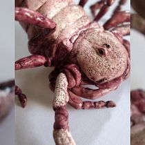 SCORPIO MOON. Arts, Crafts, Character Design, Concept Art, Fine Arts, and Sculpture project by Alba Beltrán Flaño - 12.09.2025