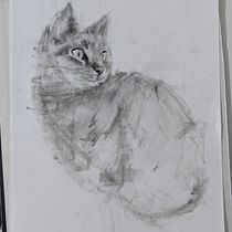 My Cat. Drawing, Fine Arts, Portrait Drawing, and Naturalistic Illustration project by martin_bonin001 - 12.12.2025