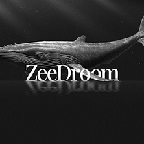 ZeeDroom Creative Agency . % Andre Degel Ulloa tarafından hazırlanan Marka Stratejisi, Markalaşma ve Kimlik, İşletme, Logo Tasarımı, Hika, Ve e anlatımı projesi - 12.19.2025