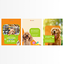 Projeto Domestika. Un projet de Design , Branding et identité, Gestion de la conception, Conception éditoriale, Design graphique, Typographie, Création de logos, Conception numérique, Design typographique , et Théorie des couleurs de renatameirielee - 24.12.2025