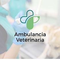 Ambulancia Veterinaria. Br, ing, Identit, Design, Graphic Design, and Logo Design project by Jimena Rosita Soria - 12.29.2025