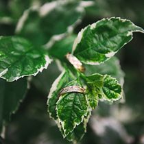 My project for course: Beginner’s Photography: Basic Camera Use and Theory. Photographic Composition, Photograph, and Digital Photograph project by Adam Mwero - 12.31.2025