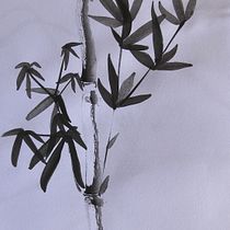 Shinkushi - Four Gentleman. Drawing, Traditional illustration, Ink Illustration, Fine Arts, and Painting project by rhirie - 01.03.2026