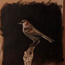 Realistic bird painting . Fine Arts, Naturalistic Illustration, Oil Painting, and Painting project by esakdeniz - 01.03.2026