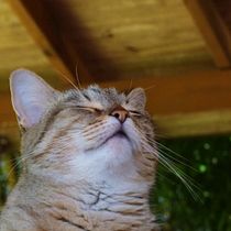 La naturaleza de la inocencia. Photographic Composition, Photograph, and Digital Photograph project by maidana_meli_00 - 01.05.2026