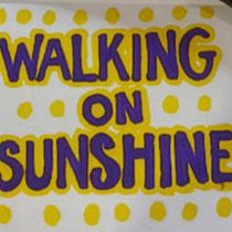 Walking on Sunshine Final Project. Creativit, Drawing, H, Lettering, Sketchbook, and Sketching project by Dina Berns - 01.05.2026