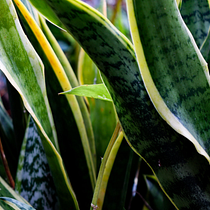 MIV para IMX. Br, ing, Identit, Graphic Design, Logo Design, Stationer, and Design project by Carol Gonçalves - 01.06.2026