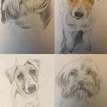 Szkicownik z psami: Najlepsi modele mają cztery łapy. Drawing, Pencil Drawing, Traditional illustration, and Sketchbook project by Ewa Szymczak - 01.06.2026