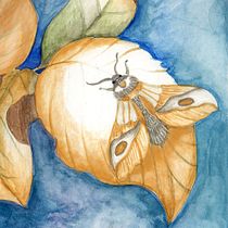 Creyó tocar la luna en una hoja. Drawing, Traditional illustration, Naturalistic Illustration, and Watercolor Painting project by Blanca Herrera - 01.06.2026