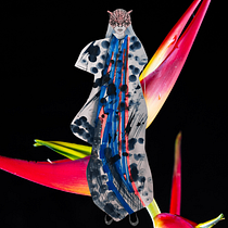 Mujeres de la Floresta. Drawing, Fashion Design, Sketchbook, and Fashion Illustration	 project by Anabel de la Cruz - 01.08.2026