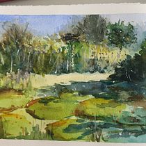 Vitória Régia. Un progetto di Belle arti, Pittura e Pittura ad acquerello di Ana Valeria Chaves - 13.01.2026