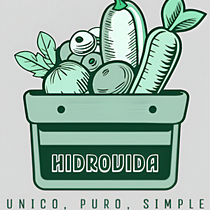 HidroVida . Managementul designului și Marketing de Priscilla Fiorella Fariño Merchan - 01.16.2026