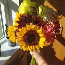 Summer in my bouquet . Decoration, DIY, Floral, Plant Design, Interior Design, L, and scape Architecture project by Cojocea Diana - 01.16.2026