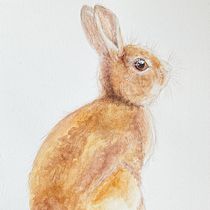 Aquarela com coelho selvagem. Realistic Drawing, Traditional illustration, and Watercolor Painting project by Márcia Podesta - 01.16.2026