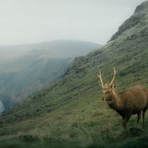 Color Theory in Photography Final Project Ein Projekt aus dem Bereich Fotografische Komposition, Fotografie, Digitalfotografie, Fotoretuschierung und Farbenlehre von martintejerina - 16.01.2026