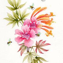 Hojas de acer y flores de bignonia. Watercolor Painting, Botanical Illustration, and Colored Pencil Drawing project by Blanca Herrera - 01.16.2026