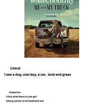 The literal and the subjective . Br, ing, Identit, Color Theor, Design, Design Management, Digital Design, Editorial Design, Graphic Design, Logo Design, T, pograph, T, pograph, and Design project by alhstarrmz - 01.18.2026