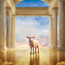 Apocalipse 7:17. Photograph, Photograph, Post-production, Photo Retouching, Fine-Art Photograph, Photographic Composition, Photomontage, and VFX project by Matheus Laço - 01.19.2026