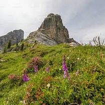 Clasificador de Paisajes con IA. Web Development, Programming, Artificial Intelligence, and AI programming project by Camilo Andrés Castañeda Galindo - 01.20.2026