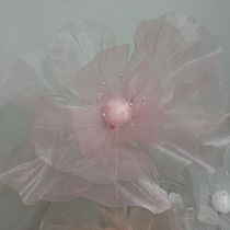 Creación de Instagram desde cero (redes sociales). Instagram Marketing project by Elisa Bernal - 01.21.2026