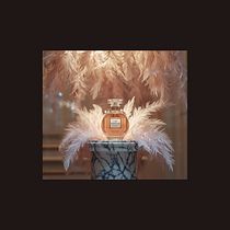 A perfume born from feathers Ein Projekt aus dem Bereich Innendesign, Retail Design, Bühnendekoration und Raumgestaltung von Luc Mai - 23.01.2026