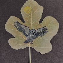 Owl/fig leaf. Embroider project by tjmgss - 01.24.2026