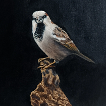 Estudo de pintura a óleo sobre pássaros - O pardal. Fine Arts, Naturalistic Illustration, and Oil Painting project by Juliana Cardoso - 01.25.2026