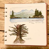 Haida Gwaii Ein Projekt aus dem Bereich Traditionelle Illustration, Architektonische Illustration, Aquarellmalerei und Sketchbook von joleenburgess - 27.01.2026